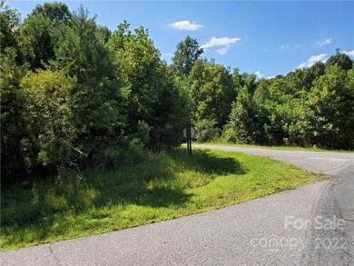 0 Wolf River Ln unit 62, Lake Lure, NC 28746 - photo 4