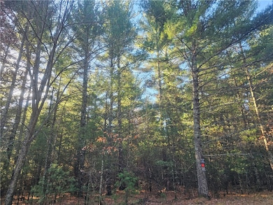 XXX E Harmon Ave, Grantsburg, WI 54840 - photo 2