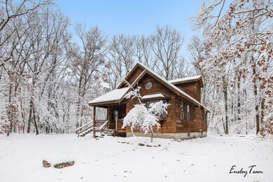 287 Hayes St, Bitely, MI 49309 - photo 4