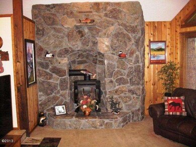Gas stove in living room