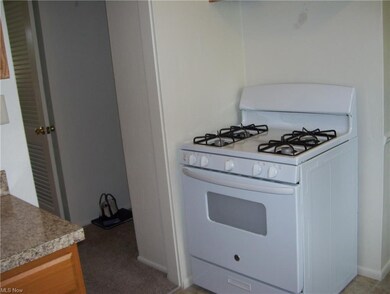 3827 Richlawn Rd, Richfield, OH 44286 - photo 6