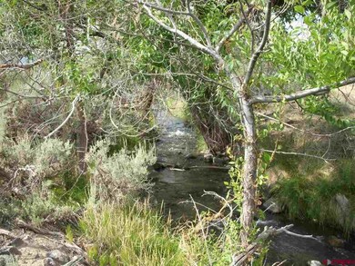 TBD Westridge Rd, Cedaredge, CO 81413 - photo 2