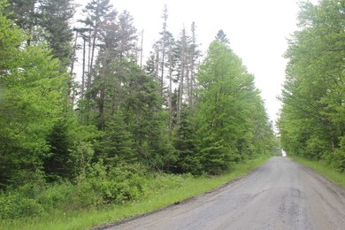 0 Cobb Rd unit 5046229, Walden, VT 05873 - photo 6