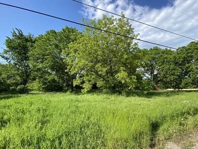 TBD E Miller St, Whitewright, TX 75491 - photo 2