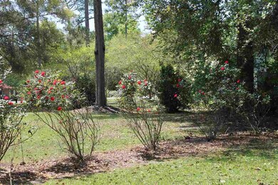 253 Bay Pine Dr, Crawfordville, FL 32327 - photo 5