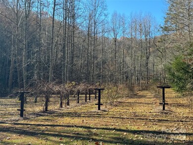 Site 5 Woodfen Ln, Lake Lure, NC 28746 - photo 3