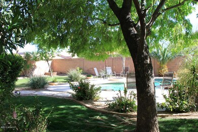 002 Backyard with mature landscaping