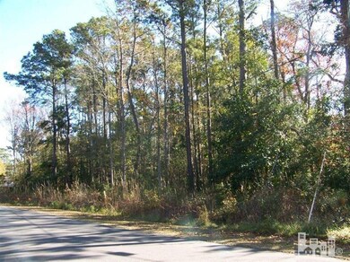 7312 Mason Landing Rd, Ogden, NC 28411 - photo 3