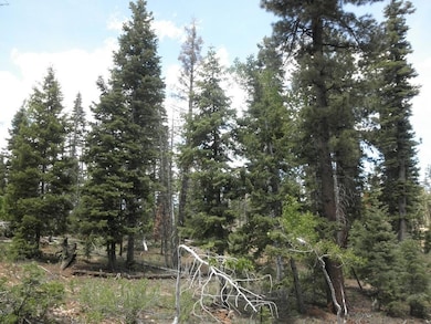 Lot Picture 3