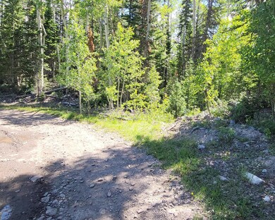 road along lot