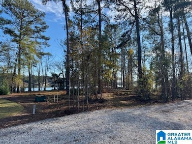 209 Pitchford Way, Alexander City, AL 35010 - photo 4