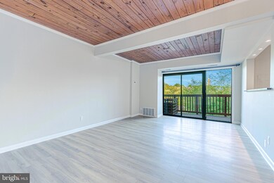 53 Skyhill Rd unit 303, Alexandria, VA 22314 - photo 5