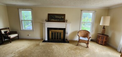 Living Room Fireplace