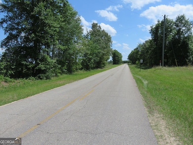 0 Ebenezer Rd, Ellaville, GA 31806 - photo 2