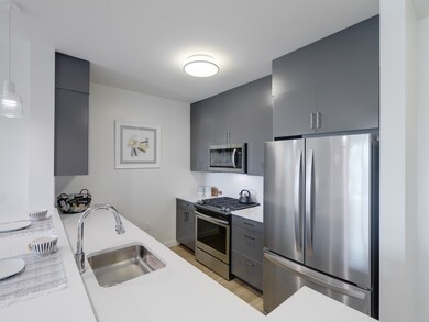 1235 Vfw Pkwy unit 106, West Roxbury, MA 02132 - photo 3