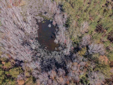 000 Avera Rd, Roberta, GA 31078 - photo 3