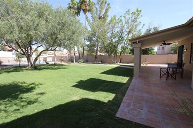 Back Yard 2