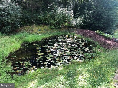 5258 Horn Camp Rd, Rio, WV 26755 - photo 7