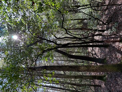 Tract 15 Thomas Springs Rd, Crossville, TN 38572 - photo 4