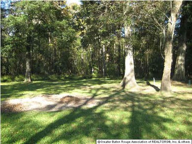 Rear Yard View of Acreage