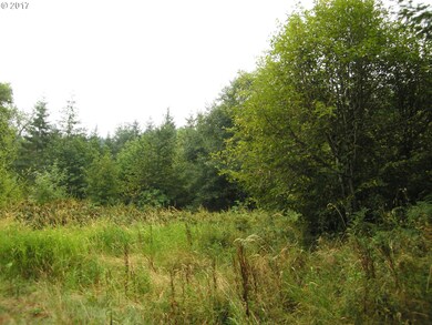 0 SW Laurelwood Rd, Gaston, OR 97119 - photo 3