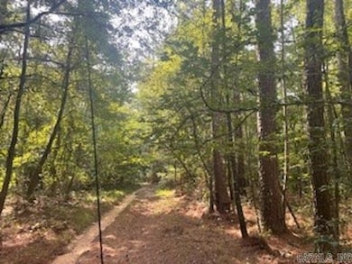 000 Opitz Rd, Haskell, AR 72015 - photo 2