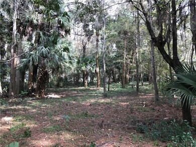 LOT HAS OAKS, PALMS, & PINES