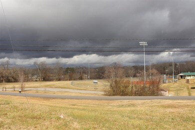 245 N Waite St, Manchester, TN 37355 - photo 3