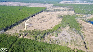 0 Bud Odom Rd unit 25514042, Deer Park, AL 36529 - photo 2