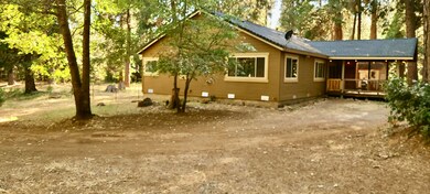 Back Side View