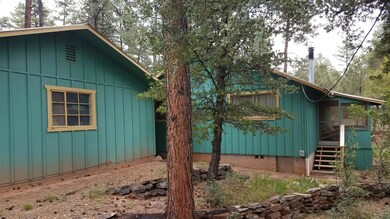 4159 N Wilbur Ave, Pine, AZ 85544 - photo 4