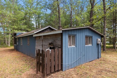 13391 Greenley Rd, Bitely, MI 49309 - photo 4