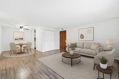 10 Mill St unit Q, Maynard, MA 01754 - photo 5