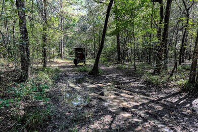 0 Texas 105, Hull, TX 77564 - photo 7