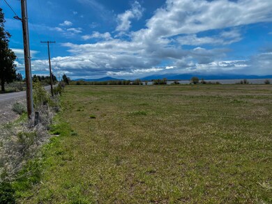 IMG_2365