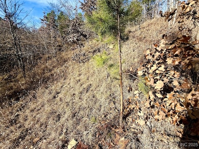 0 4540 Rd, Vian, OK 74962 - photo 7