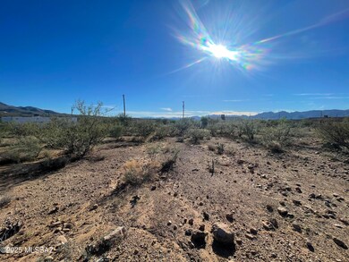 1853 Isabel Ct unit 183, Rio Rico, AZ 85648 - photo 2