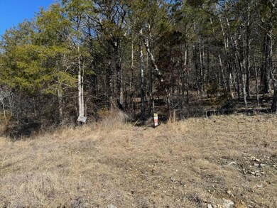 56 Ranch Rd, Saddlebrooke, MO 65630 - photo 4