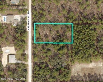 Marsh Quail Rd 4