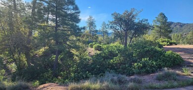 0 E Phoenix St, Payson, AZ 85541 - photo 3