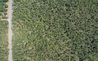 TBD 180th St, Live Oak, FL 32060 - photo 2