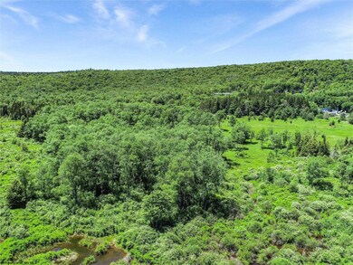 00 Mountainview Dr, Davis, WV 26260 - photo 6