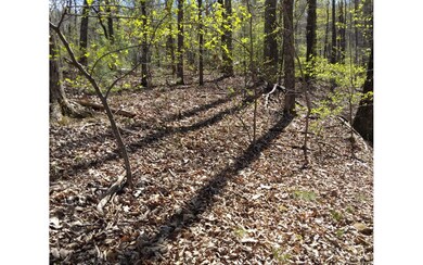 M99 Sleepy Hollow Rd, Ellijay, GA 30536 - photo 4
