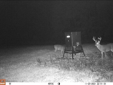 deer