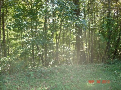 Forest Ridge7