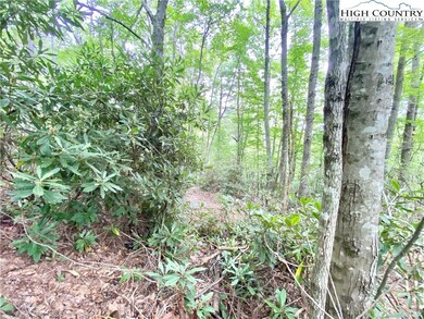 Wooded lot allows for privacy
