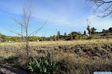 xx W Howell St, Silver City, NM 88061 - photo 6