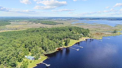 0 Batemans Creek Rd, Pantego, NC 27810 - photo 7