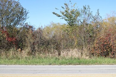 10040 Cline Ave, Winfield, IN 46307 - photo 4