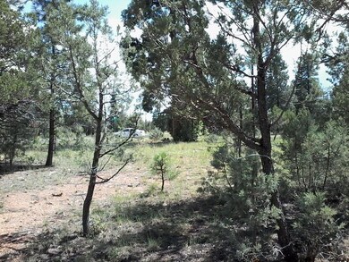 DURANGO 3352 PIC 17